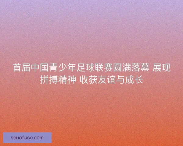 首届中国青少年足球联赛圆满落幕 展现拼搏精神 收获友谊与成长