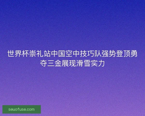 世界杯崇礼站中国空中技巧队强势登顶勇夺三金展现滑雪实力