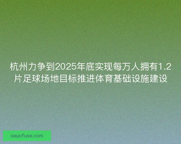 杭州力争到2025年底实现每万人拥有1.2片足球场地目标推进体育基础设施建设